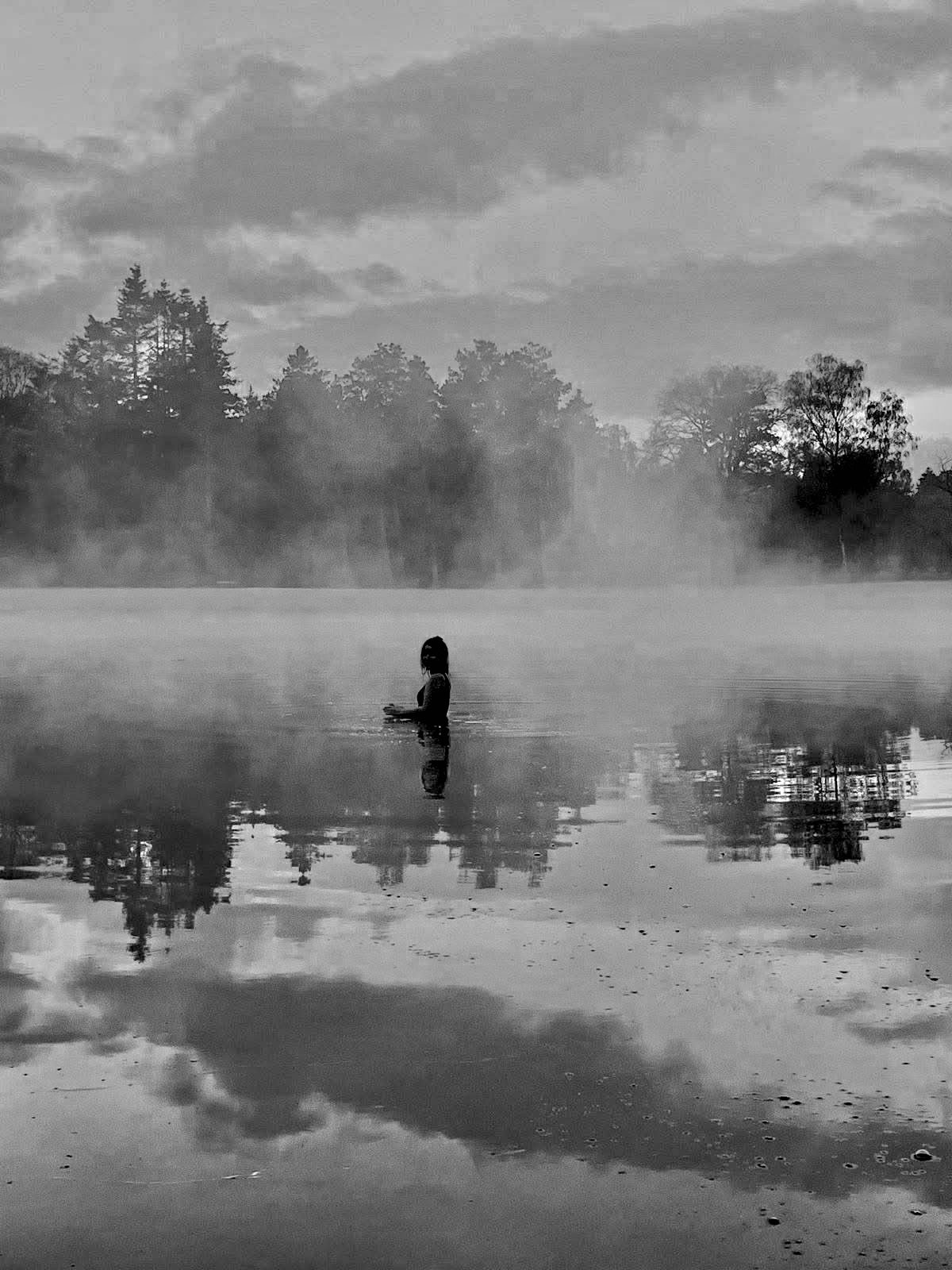 IMMERGE Fragments d’artiste